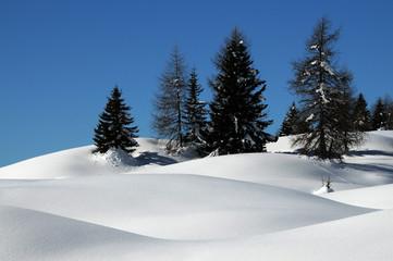 Fototapeta na wymiar Spectacular Winter scene at the San Pellegrino pass in the Dolomites in the Val di Fiemme, Trento, Italy.