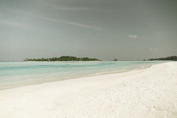 Fototapeta premium maldives island beach with palm tree and villa