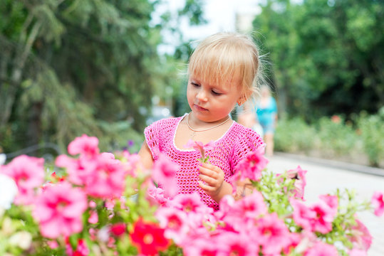 The child, a little girl is smelling the blooming petunias.