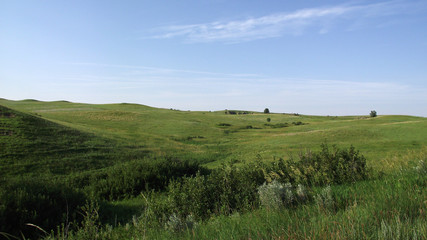Prairie in North Dakota (USA)