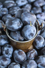 Lot of plums in bucket