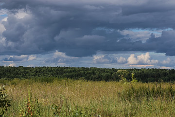 Obraz premium lanscape meadow sky cloud