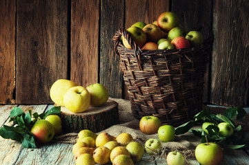 Wild apples and pears in basket