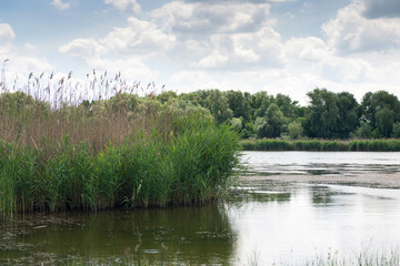 Fototapeta na wymiar Summer vacation on the river bank. Hunting for wild ducks. White