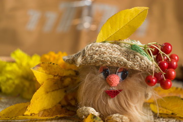 Gnomes with autumn flowers and yellow leaves on blurred background