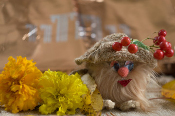 Gnomes with autumn flowers and yellow leaves on blurred background