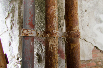 Fungal mold rusty dampness tubes