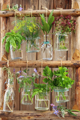 frische kräuter hängen an holzleiter © Angela Kohlschmitt