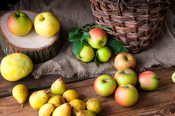 Wild apples and pears in basket