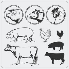 Set of butchery labels and emblems: chicken, pork and beef. Vintage style. Illustration of cow, hen and pig.
