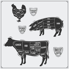 Cuts of meat. Chicken, pork and beef. Vintage style.