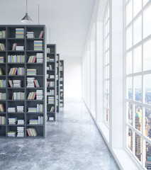 Library with city view © Who is Danny