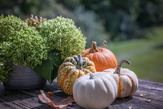 Autumn Table Decor