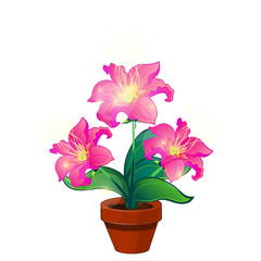 Bright pink magic flowers in pot, vector isolated