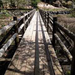 Naklejka premium Wooden bridge 