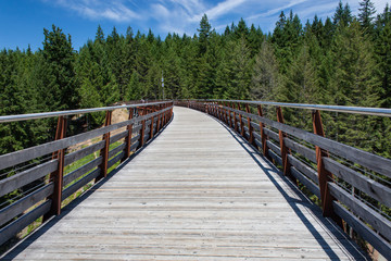 Obraz premium Walkway Across Former Railway Bridge