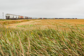 A grain train on the plains