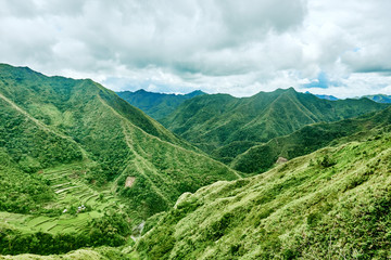 Naklejka premium rice paddy terrace fields Philippines