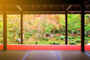 Fall color with sunlight in Enkoji temple, Kyoto