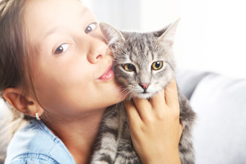 Beautiful grey cat on female hands