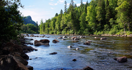 Fototapeta premium Krajobraz rzeki łososia