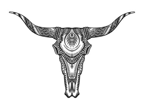 Decorative Indian bull skull. Hand drawn vector illustration