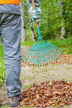 Man with rake near to the fall leaves in park