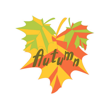 autumn maple with colorful leaves on a white background vector illustration