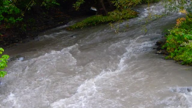 chute