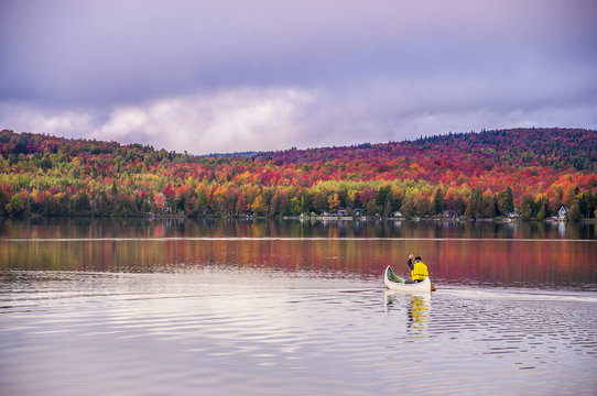 canot sur le lac en automne