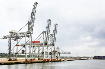 Fototapeta premium Container Cranes on a Empty Pier and Cloudy Sky