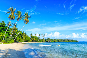 sea shore on the tropical palm beach in Thailand