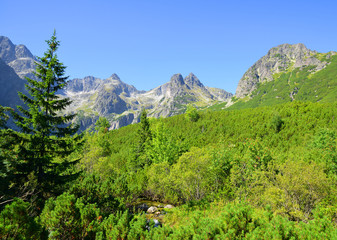 Fototapeta na wymiar Dolina Zeleneho plesa valley in High Tatra Mountains, Slovakia.