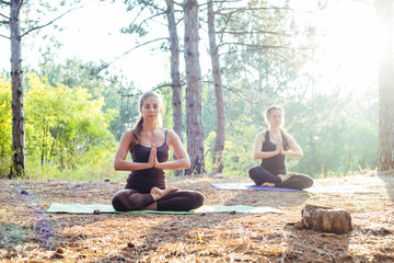 Fototapeta premium two women practicing yoga in the wood. Group of people practicing yoga during sunset or sunrise