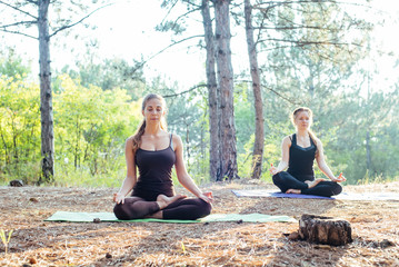 two women practicing yoga in the wood. Group of people practicing yoga during sunset or sunrise