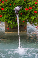 zbliżenie na zabytkową fontannę z kwiatami i gołębiem, fountain  © Krzysztof Matloch