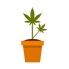 Cannabis plant icon in flat style on a white background vector illustration