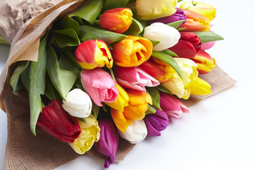 nice tulips