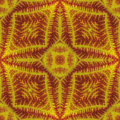 Leaves textures colorful pattern background for scrapbook, top view. Seamless kaleidoscope montage...