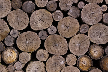 Wooden cut texture