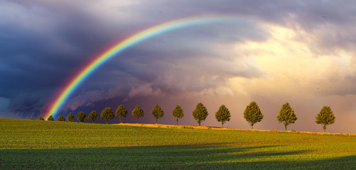 colorful rainbow after the storm passing over a field
