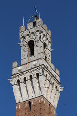 mangia tower, siena, italy