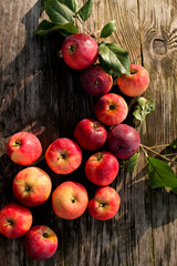 Apples on the table