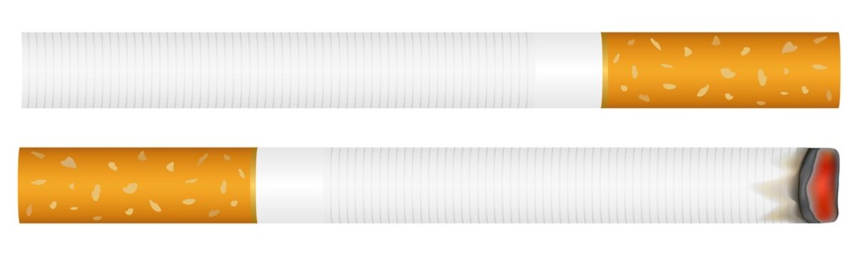 filter cigarette vector illustration isolated / Filter zigarette Vektor isoliert