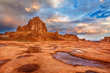 Morning Puddle Vista