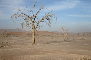 Sossusvlei Namib-Naukluft