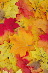 Autumn Leaves Background