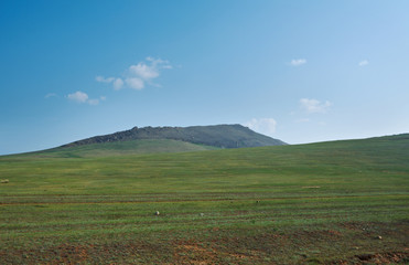 Fototapeta premium Steppe on a background of mountains