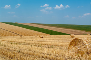Fototapeta premium Levels with bales.