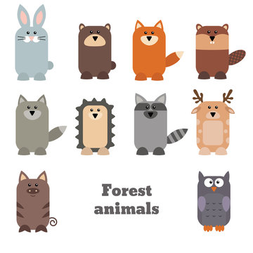 Set of cute forest animals
